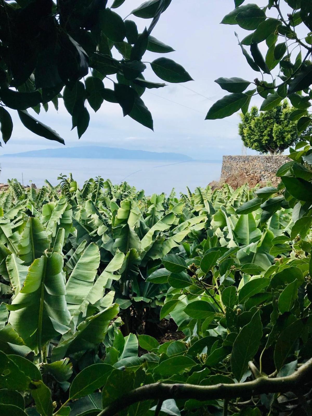 Fincaecoamaro بويرتو دي سانتياغو المظهر الخارجي الصورة
